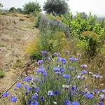 Canto Azul * Casal da Carreira