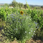 Canto Azul Дом отдыха