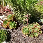 Дом отдыха Canto Azul *