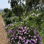 Canto Azul * Casal da Carreira