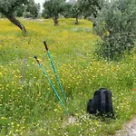 Дом отдыха Canto Azul