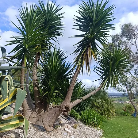 Casa vacanze Canto Azul *