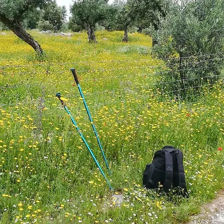 בית נופש Canto Azul