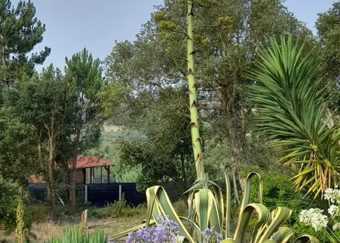 Canto Azul Casa de Férias Casal da Carreira