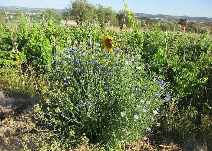 Canto Azul Casa de Férias