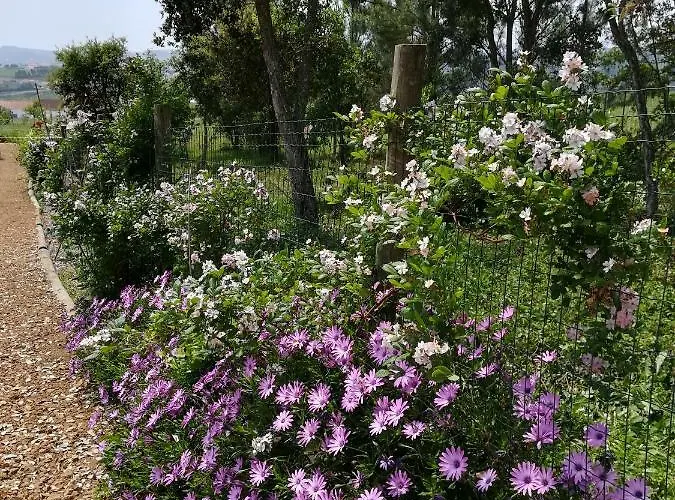 Canto Azul * Casal da Carreira