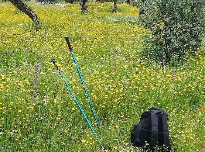 Prázdninový dům Canto Azul